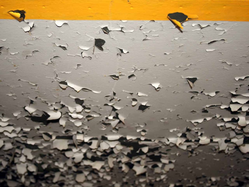 René Opitz - Grafik- & Web DESIGN